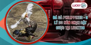 Đá Gà Philippines - 5 Lý Do Nên Chọn Đặt Cược Tại LUCKY88