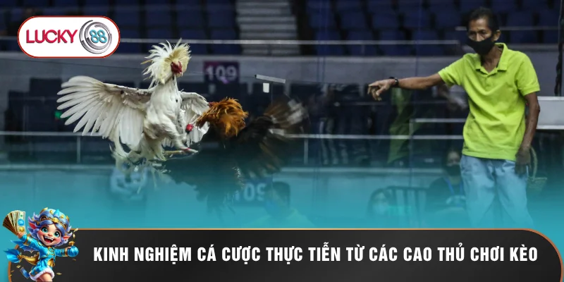 Đá Gà Philippines - 5 Lý Do Nên Chọn Đặt Cược Tại LUCKY88 3 Kinh nghiệm cá cược thực tiễn từ các cao thủ chơi kèo